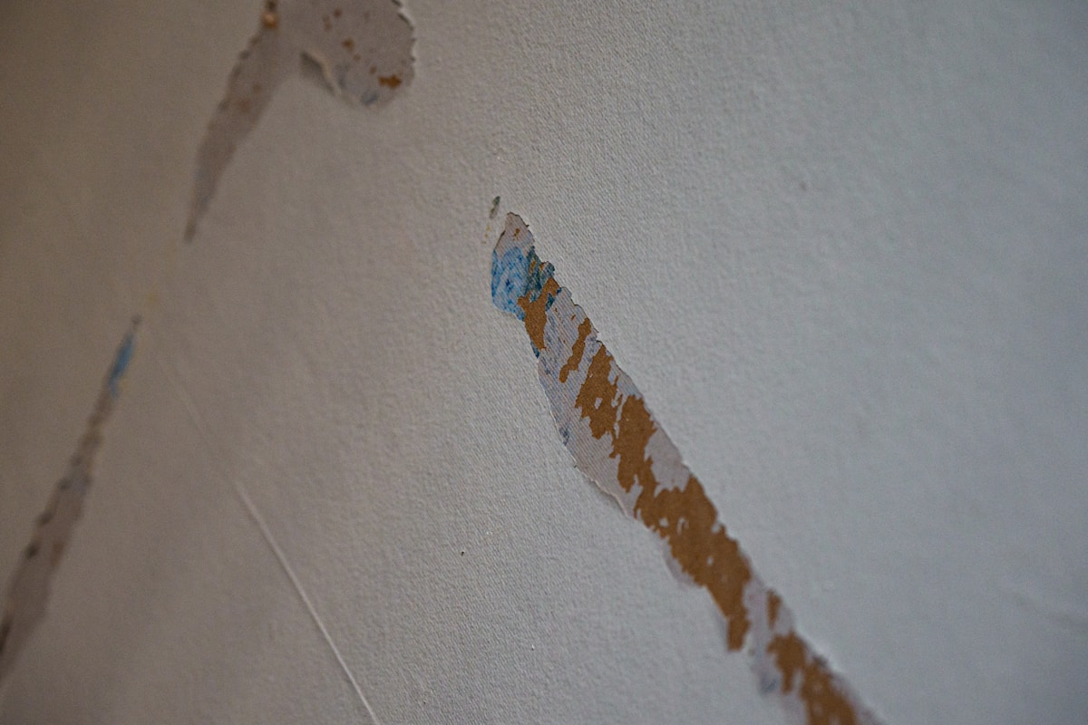 Mold Remediation service in Murray, UT